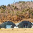 늘픔농장 이미지