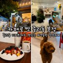 반려견수제간식 아지맘마 | [대전카페] 중리동디저트와 커피가 맛있는 애견동반카페 <카페로켓>