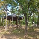 옥암근린공원 네이버블로그