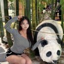 수원-1066 이미지