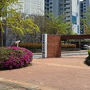 세븐일레븐광주영천마을점 네이버블로그