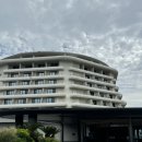 파르나스호텔제주 | 파르나스호텔 제주 디럭스 킹 오션뷰 연박 후기 (객실뷰, 룸컨디션, 미니바)