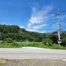 학산2리 | 강릉 감자전 맛집 학산2리부녀회