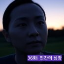 36 이미지