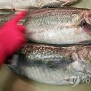 대구 - 양산시 | 대구