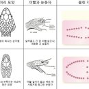 24시노아동물메디컬센터 이미지