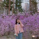 백송이꽃화원 | 삼월 막주