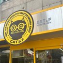 CAT&F 캣앤에프 | [성수 카페] 성수동 캣앤에프 : 옥수수 소금빵 포장 구매 후기 🌽🥐 내돈내산