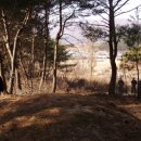 마석2리 Daum카페
