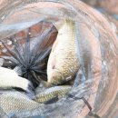 비상낚시터 이미지