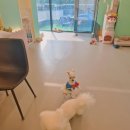 봉글봉글 이미지