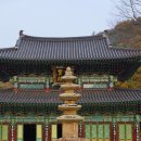 월출산온천 이미지