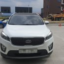 에스(S)게러지 이미지