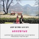 제2동규농장 | (내돈내산) 서울 근교 딸기농장 괜찮은 곳 어디?/ 남양주 송촌호반딸기농장 후기