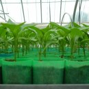 미희농장 이미지