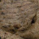 부개로 | 🔥 부개 쪽갈비 맛집 찾았다! 풍향쪽갈비 솔직 후기