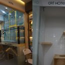 24시OK동물병원 이미지