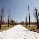 안산화랑오토캠핑장 이미지