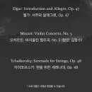 (공연) 바이올리니스트 김응수&코리안챔버오케스트라 네이버블로그