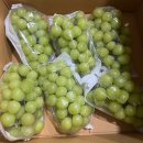 멜로테일 | 스마일라식 후기•••