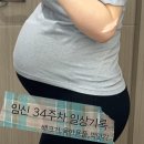 에듀가부쳐 | 임신 34주차 일상｜배크기, 소화불량과 먹덧, 육아용품, 출산가방 완성, 취미 등등 일상기록🤞