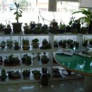 창가약국 이미지