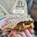 감먹은 토끼 | 애니멀숲 부산 광안리 동물카페 내돈내산 솔직후기