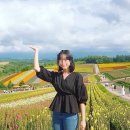 4 계절 | 겨울 비에이 투어, 추천 스팟, 4계절 방문후기 [북해도 여행 일정]