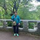 계룡산갑사황금산장 | 충남 공주 보물로 가득한 계룡산 갑사 / 계룡산 국립공원 사찰 투어