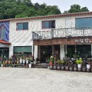 박경리메밀향 이미지