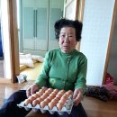 나산면사무소 이미지