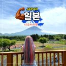 하나모토스 | 일본 시즈오카 여행 렌터카 당일치기 에비나SA 멜론 빵 후지산 꽃밭