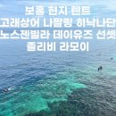 고래굴 | 보홀 현지렌트 고래상어 나팔링 히낙나단동굴 / 노스젠빌라 데이유즈 선셋 / 졸리비 / 라모이 후기