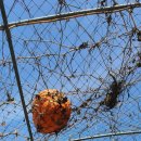 선진공원 주차장 이미지