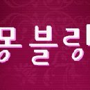 노비오스 이미지