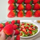 찬들농장 | 새콤달콤 겨울딸기 추천, 꽉찬딸기 농장 설향딸기 후기