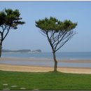 노을바다 이미지