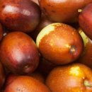 센스 생활의료기 이미지