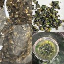 성진푸드 이미지