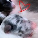 레디에이트(RADIATE) 이미지