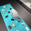 비바도기 이미지