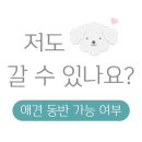 바둑이 애견 네이버블로그