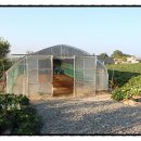 강금자농장 이미지