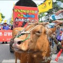 금치축산 이미지