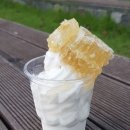 인생참치 - 서구 둔산남로 98-14 | 인생참치