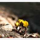 매화2공원 이미지