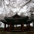 현대남산주유소 이미지