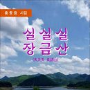 실실실 장금산(失失失 長錦山) / 홍종음 시집 (전자책) 이미지