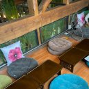 포레스트 경주(Forest 경주) 이미지