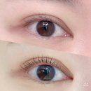 우문 | 속눈썹펌 후기 경기광주 브로우문뷰티 다녀왔어요!